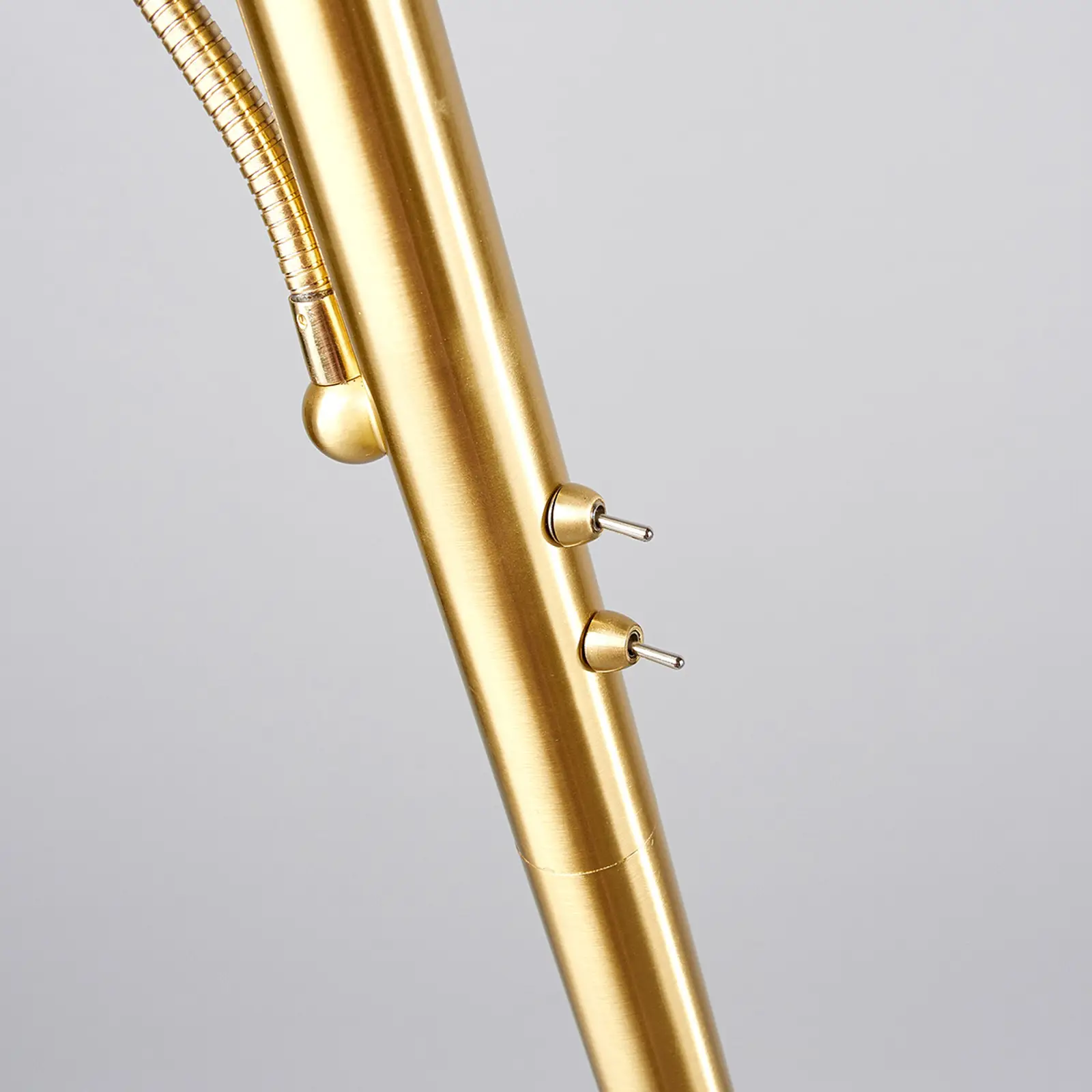 Elaina LED aukštyn šviestuvas su skaitymo lempute, žalvaris