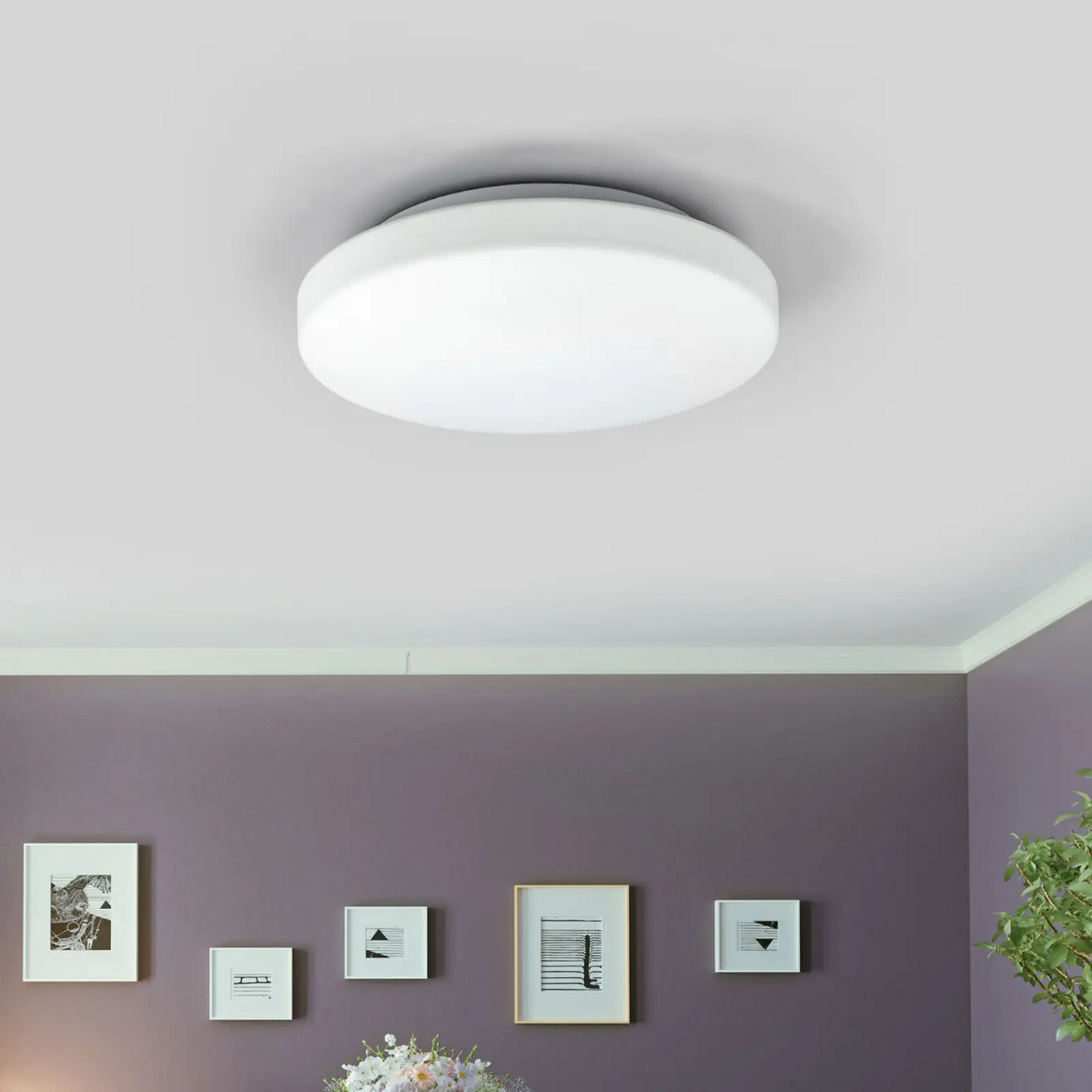 LED sieninis ir lubinis šviestuvas MOON 969/28