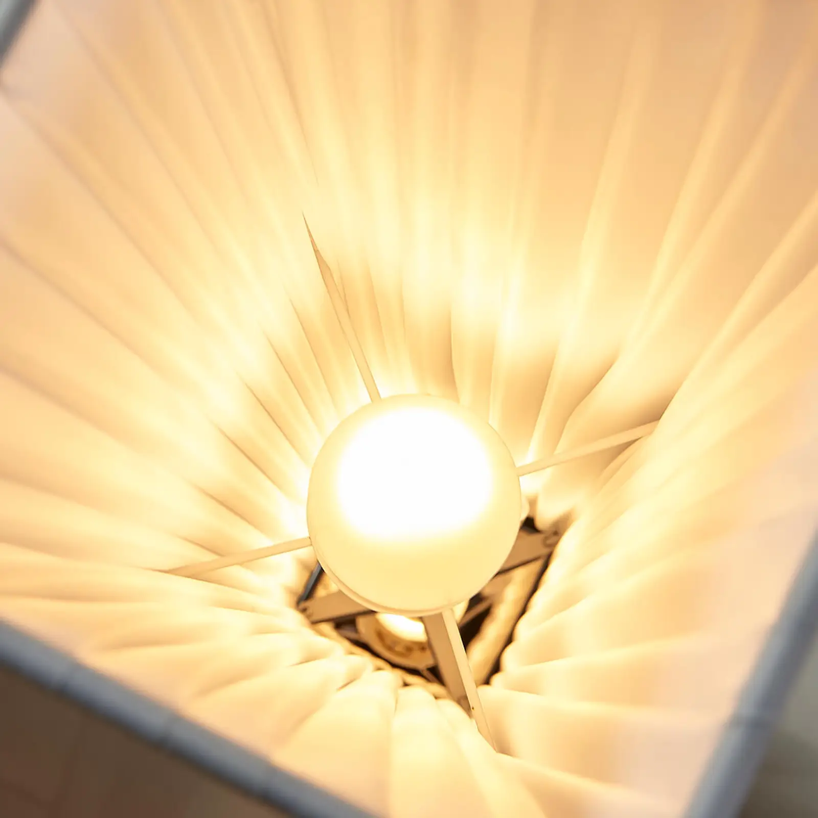 Balto audinio toršeras Janno