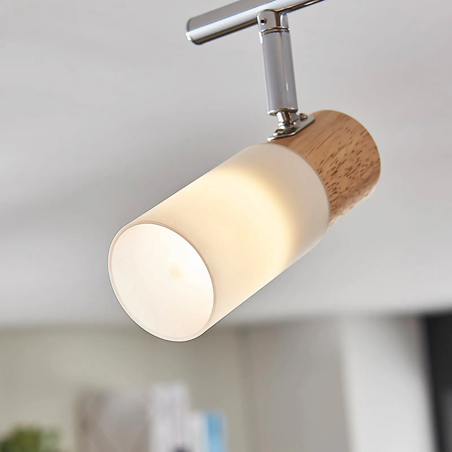 LED medinis prožektorius Christoph, 2 lemputės