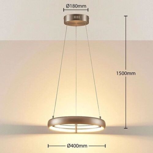 LED pakabinamas šviestuvas Risto nikelio, žiedo formos