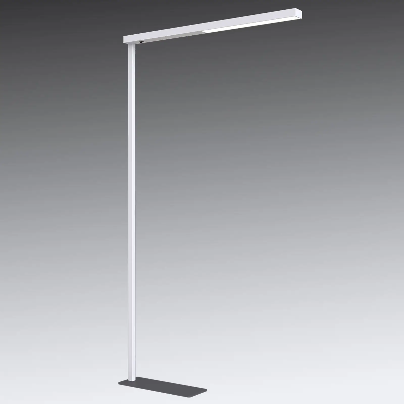 LED biuro toršeras Tamilo, baltas