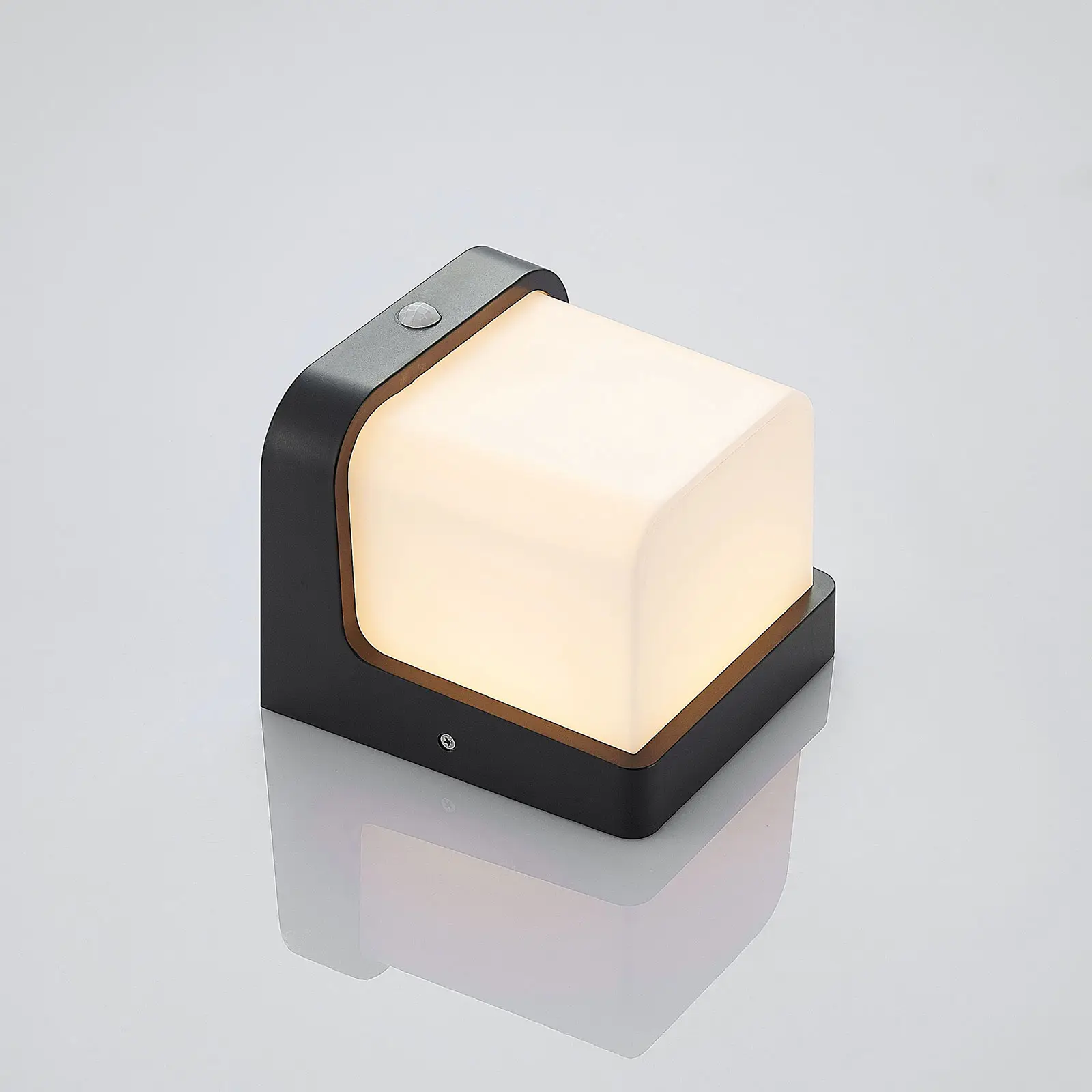 Adenike LED lauko sieninis šviestuvas su jutikliu