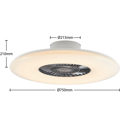 Starluna Klamina LED lubų ventiliatorius su šviesa