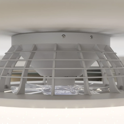 Starluna Taloni LED lubų ventiliatoriaus apšvietimas