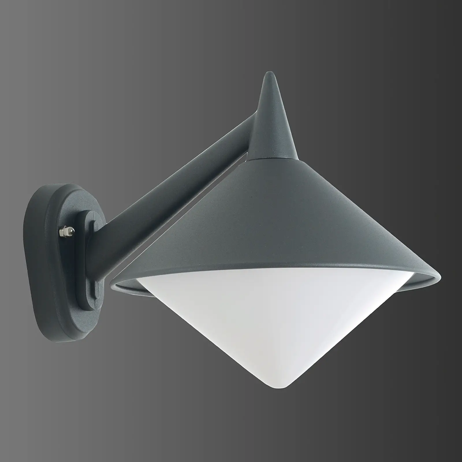 Sieninis šviestuvas tipas 1210