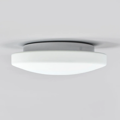 LED sieninis ir lubinis šviestuvas MOON 969/28