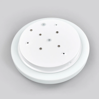 LED sieninis ir lubinis šviestuvas MOON 969/28