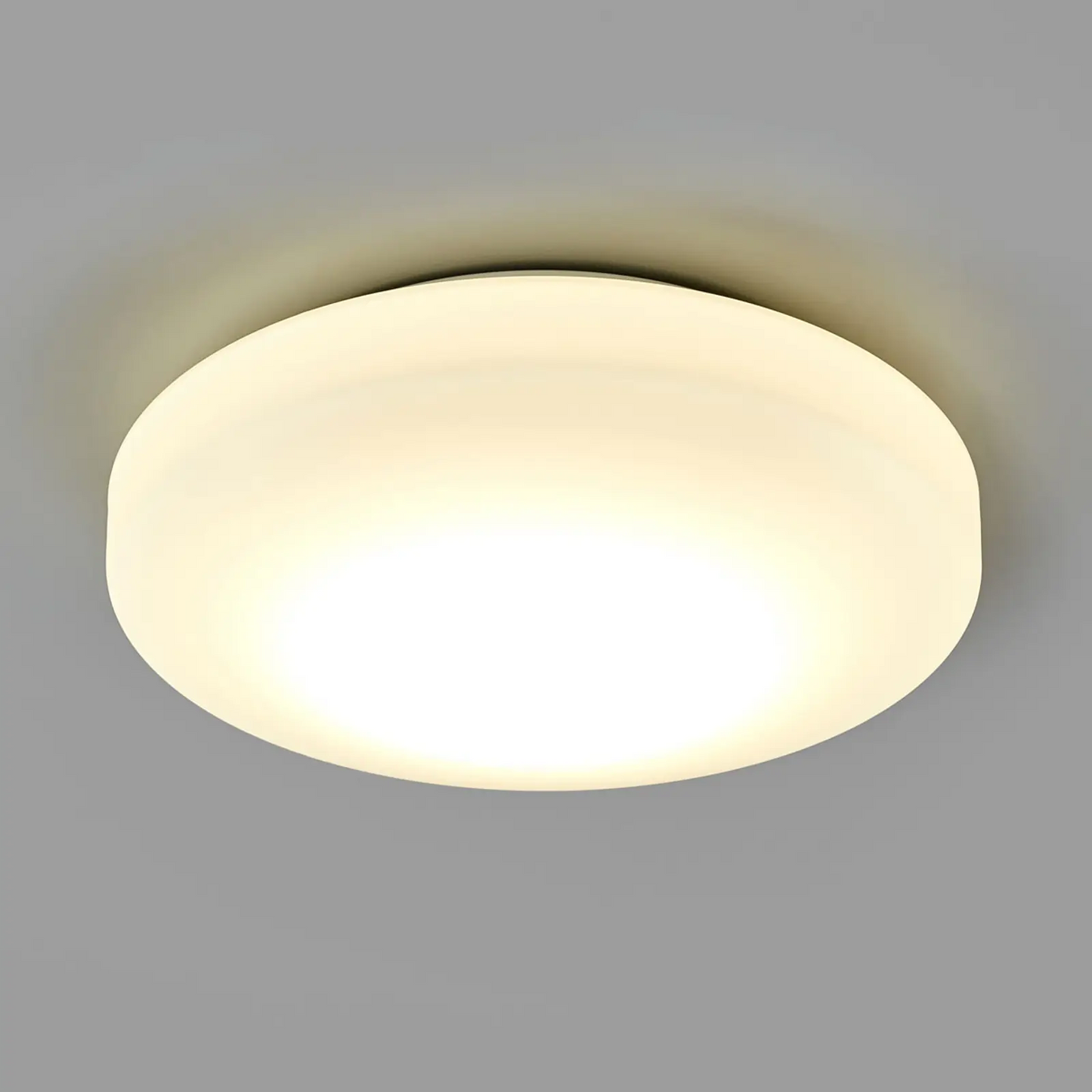 LED sieninis ir lubinis šviestuvas MOON 969/28