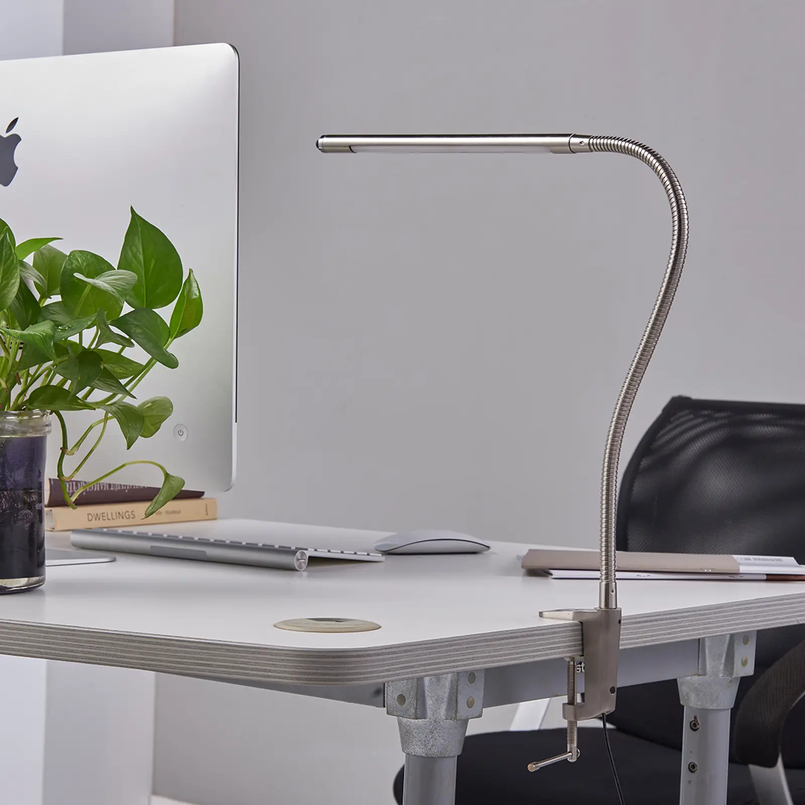 LED lemputė Lionard