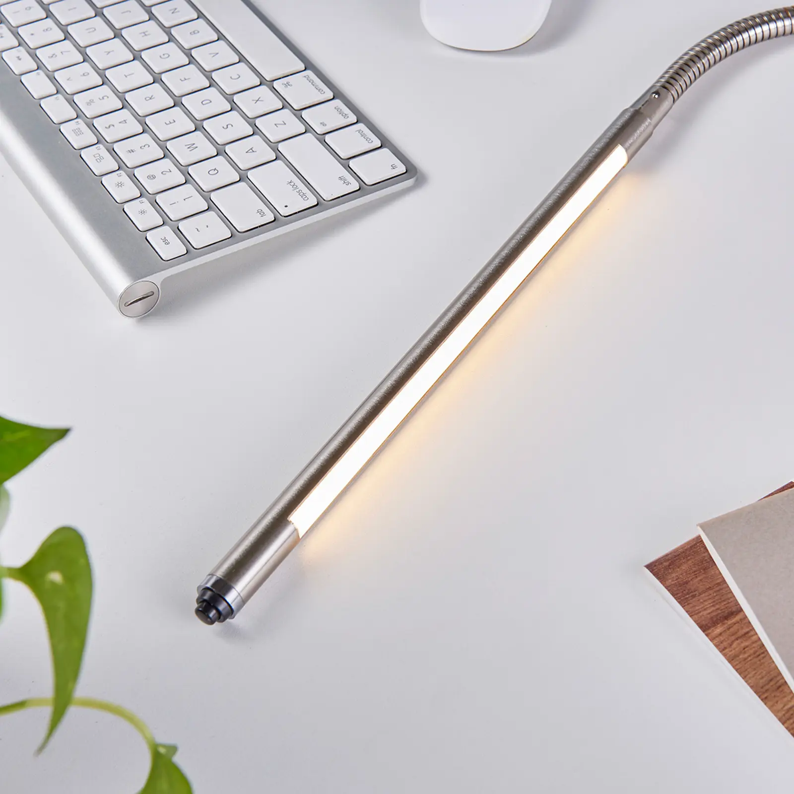 LED lemputė Lionard