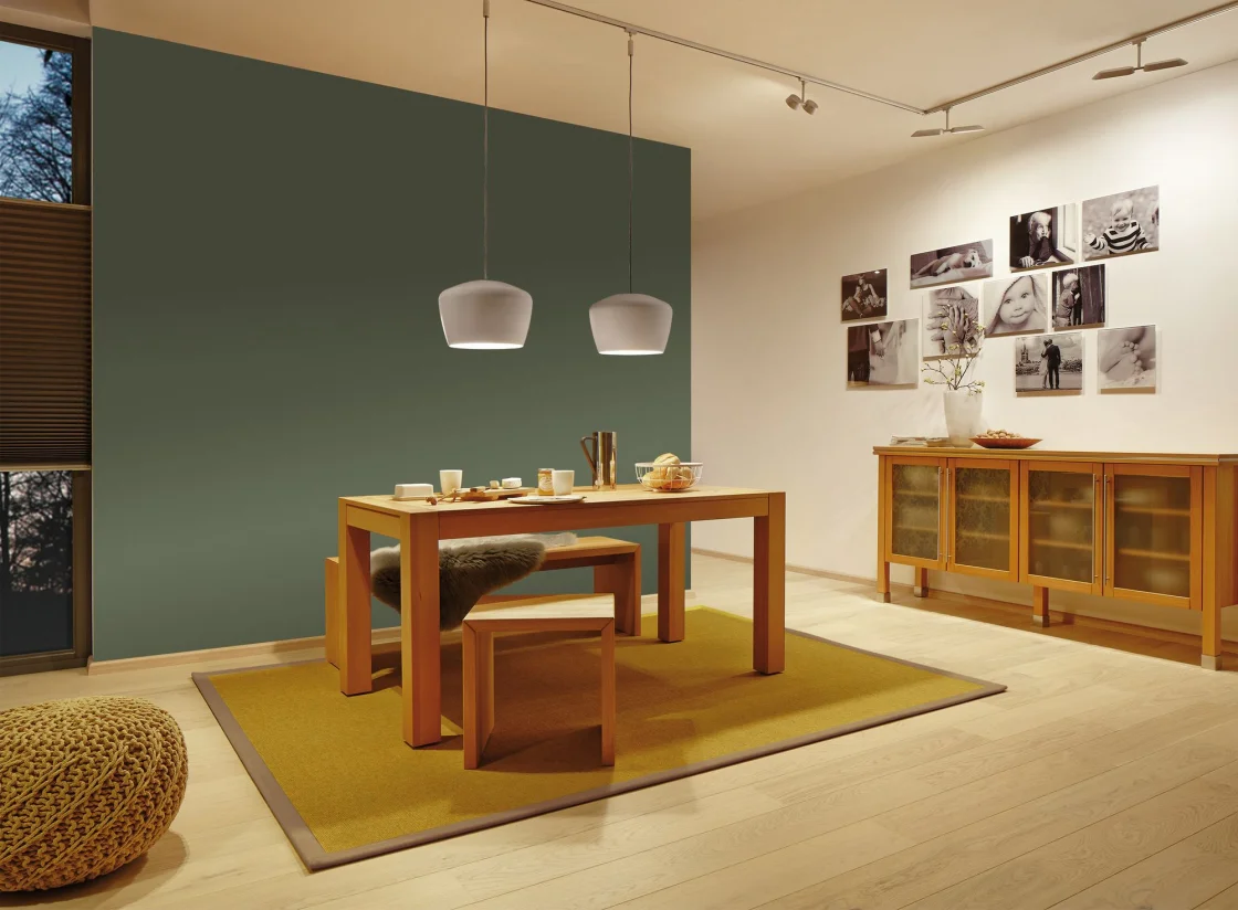 paulmann 2EASY SHADE POM