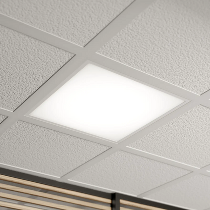 Šviesus LED skydelis Vinas, 62 cm