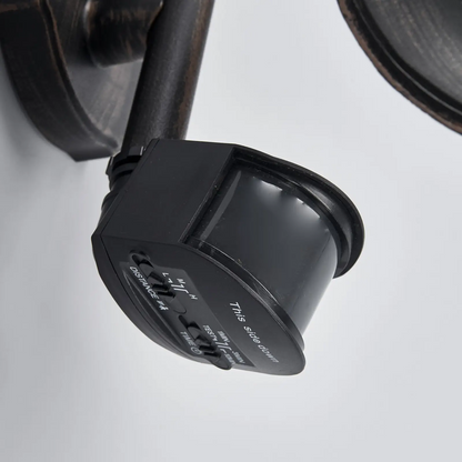 Sieninis lauko šviestuvas Daphne, senovinis juodas, su jutikliu