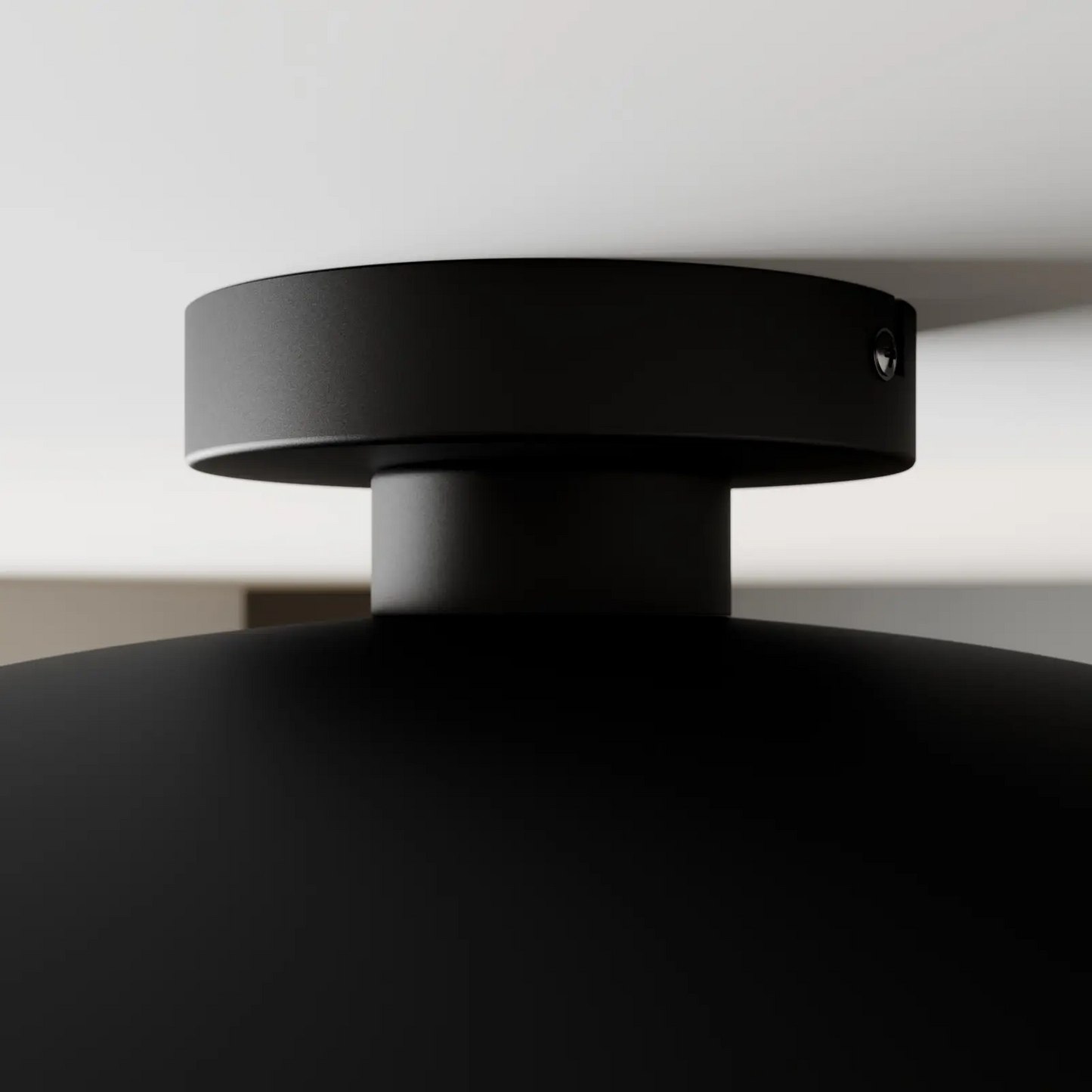 Juodos ir auksinės spalvos lubų šviestuvas Emilienne