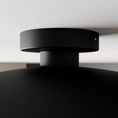 Juodos ir auksinės spalvos lubų šviestuvas Emilienne