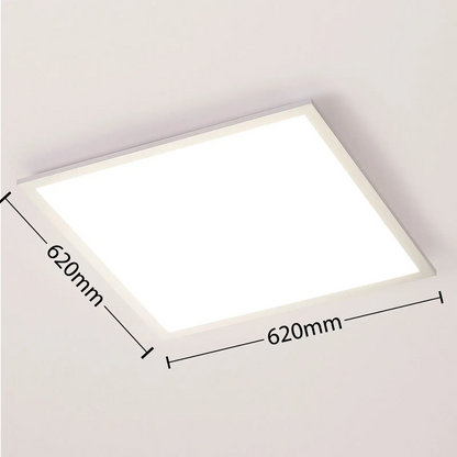 „Arcchio Lysander“ LED panelė, CCT, 62 cm, sidabrinė