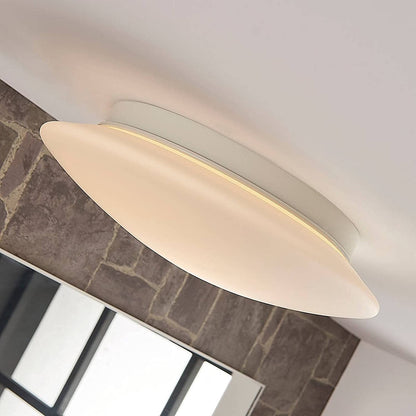 Toan - baltas, reguliuojamas LED stiklo lubinis šviestuvas, IP44