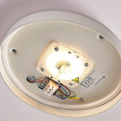 Toan - baltas, reguliuojamas LED stiklo lubinis šviestuvas, IP44