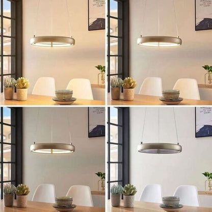 LED pakabinamas šviestuvas Risto nikelio, žiedo formos