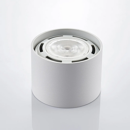 LED lubų prožektorius Mabel, apvalus, baltas