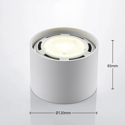 LED lubų prožektorius Mabel, apvalus, baltas