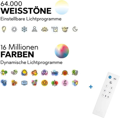 TRIO: VISTA – 255410231