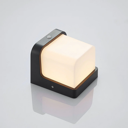 Adenike LED lauko sieninis šviestuvas su jutikliu