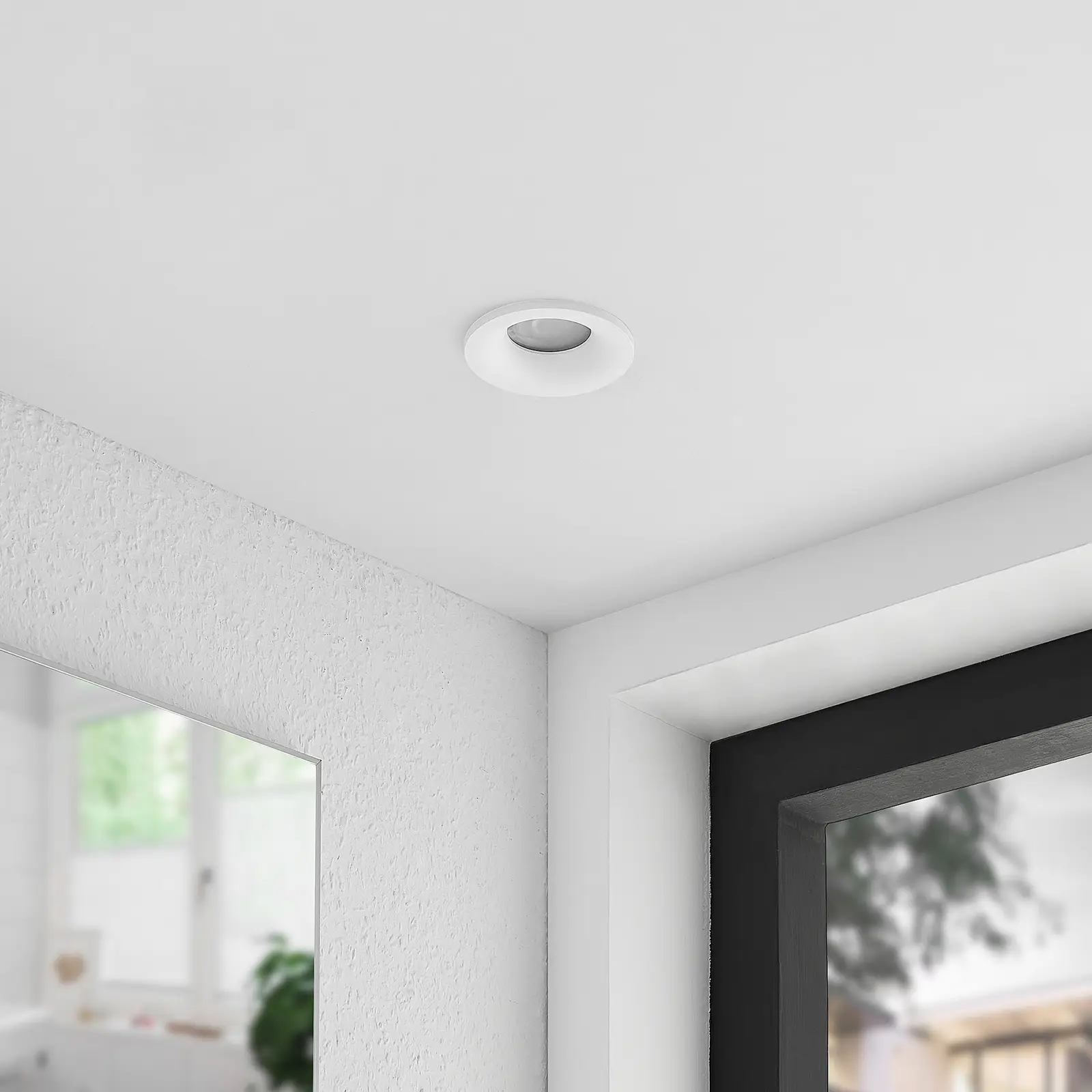 Archchio Enia įleidžiamas šviesus, apvalus, baltas