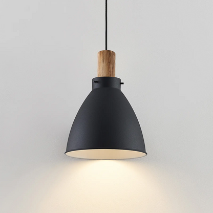 Lindby Trebale pakabinamas šviestuvas, juodas, vieno šviesos šaltinio