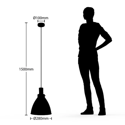 Lindby Trebale pakabinamas šviestuvas, juodas, vieno šviesos šaltinio